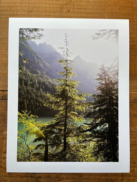 Avalanche