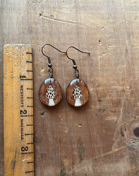 Morels Brown