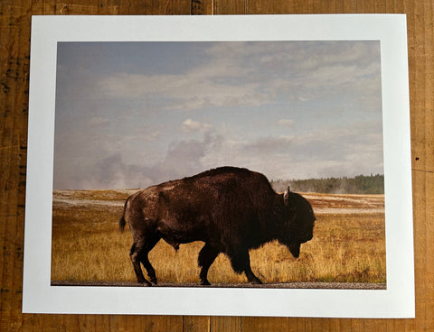 Yellowstone