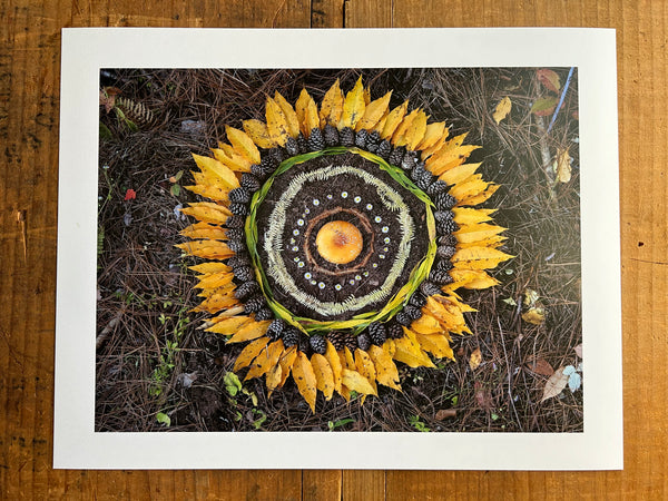 Nature Art
