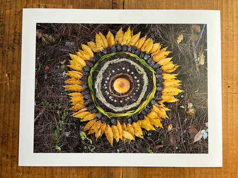 Nature Art