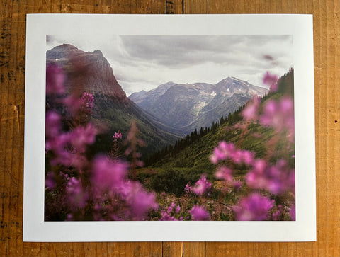 Glacier Flowers